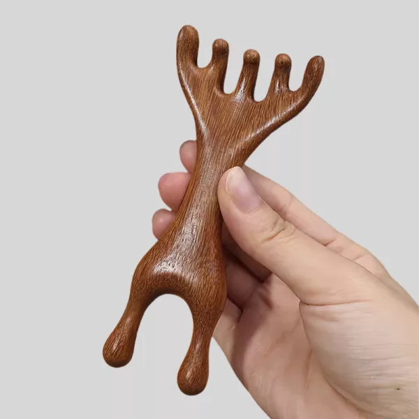 acupuncture massage, meridian massage, comb massager